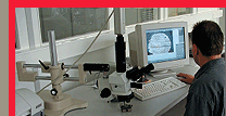 Coating types graphic listing standard and specialty coating options.
